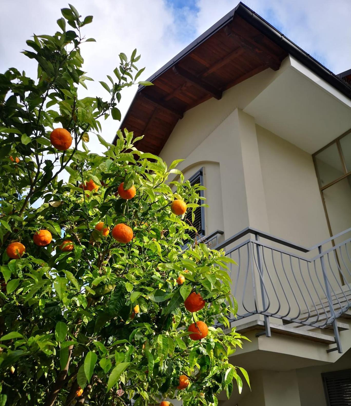 Loano Casa Arche Villa Indipendente Con Giardino Exterior foto